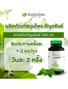 Herbal One Jiaogulan Extract 2