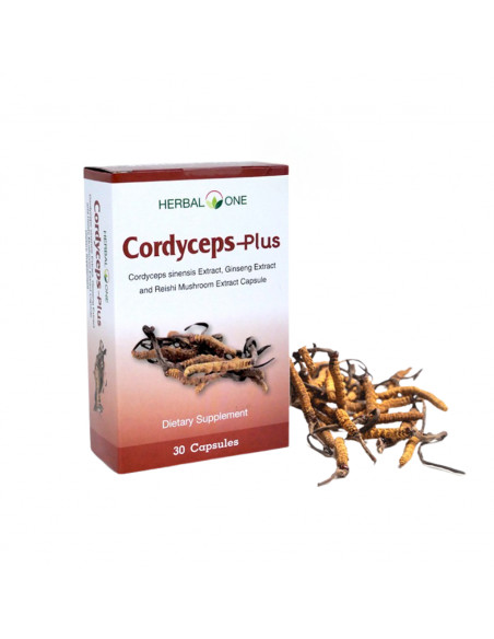 Herbal One Cordyceps Plus ingredients