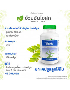 Herbal One Phyllanthus Urinaria 2