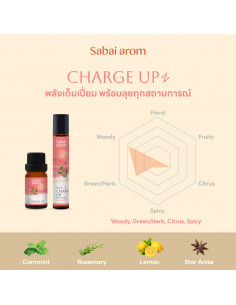 Sabai-arom NO.09 Charge Up Essential Oil Spot Roller 2