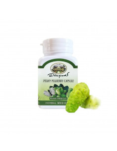 Abhaibhubejhr Indian Mulberry