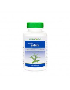 Herbal One Phyllanthus Urinaria